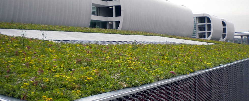 Green Roof Detail with Geoplast Drainroof Malpensa
