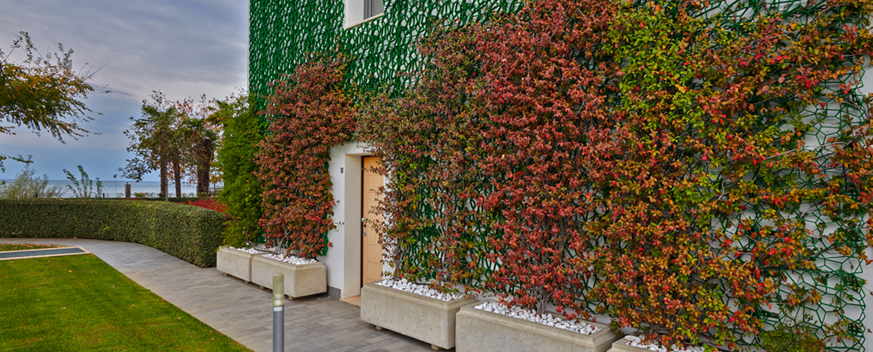Green facades Borgo Gasparina